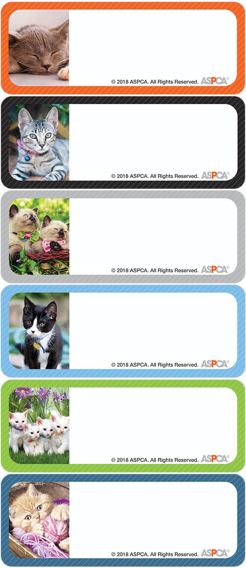 ASPCA Kittens Address Labels | Costco Checks