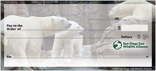 San Diego Zoo Wildlife Alliance Polar Bear Checks