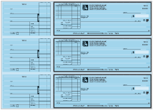 Itemized Invoice Business Check - Pay up to 7 invoices Thumbnail