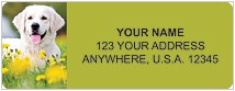 Golden Retriever Address Labels