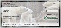 San Diego Zoo Polar Bear Checks